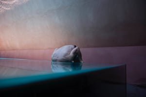 2016 CCP Salon opens this week